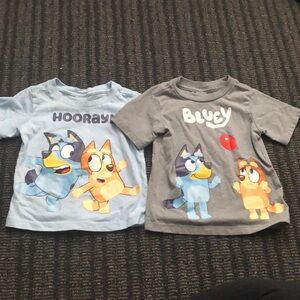 Bluey 2 T-shirt Set